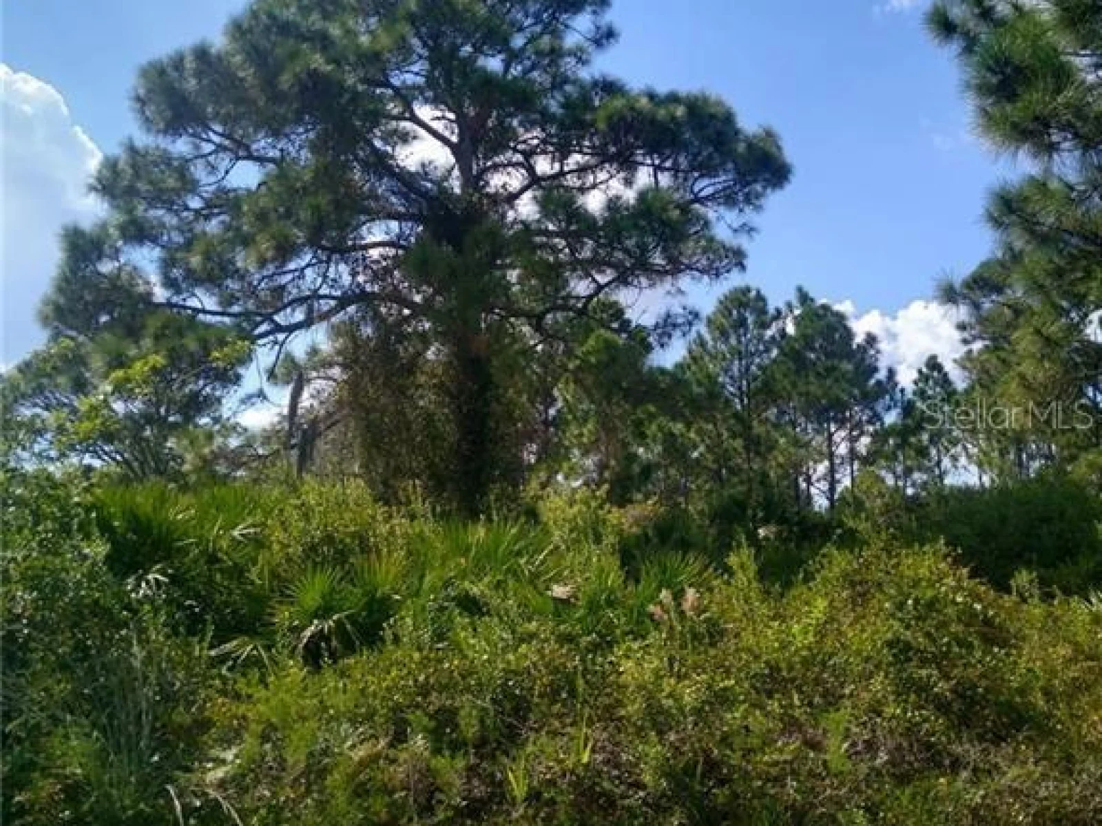 3117 PICKETT ST, PORT CHARLOTTE, FL — photo 2