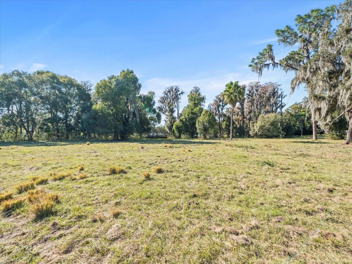 BOY SCOUT RD, ODESSA, FL — photo 2