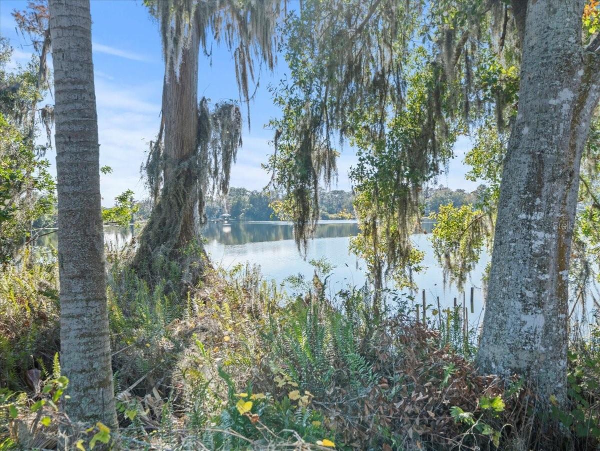 BOY SCOUT RD, ODESSA, FL — photo 3