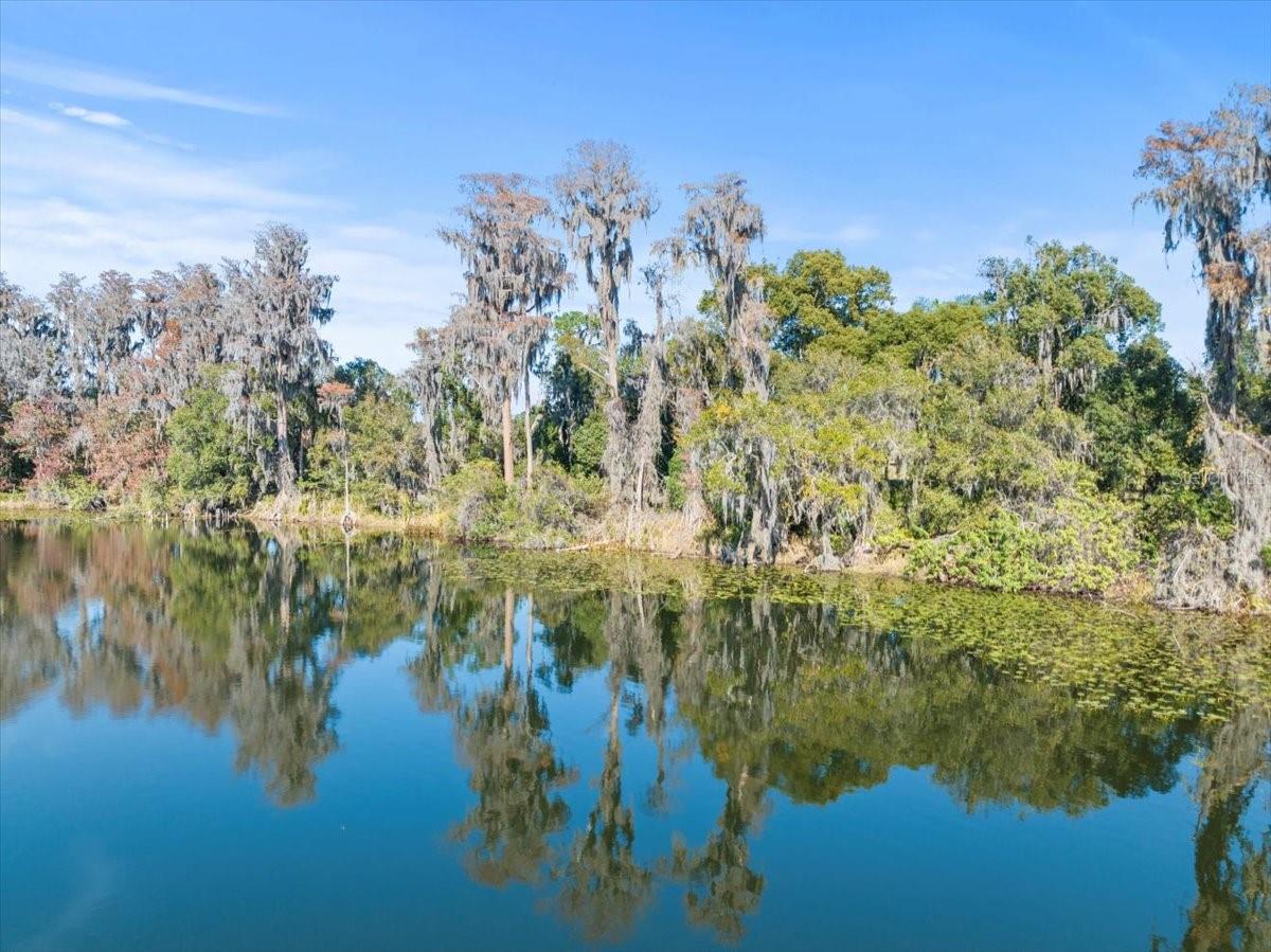BOY SCOUT RD, ODESSA, FL — photo 4
