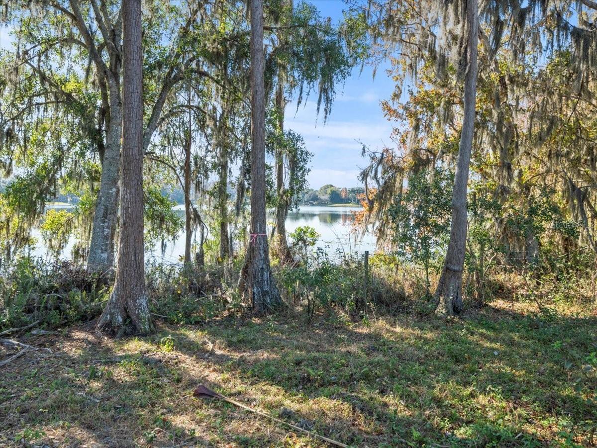 BOY SCOUT RD, ODESSA, FL — photo 5