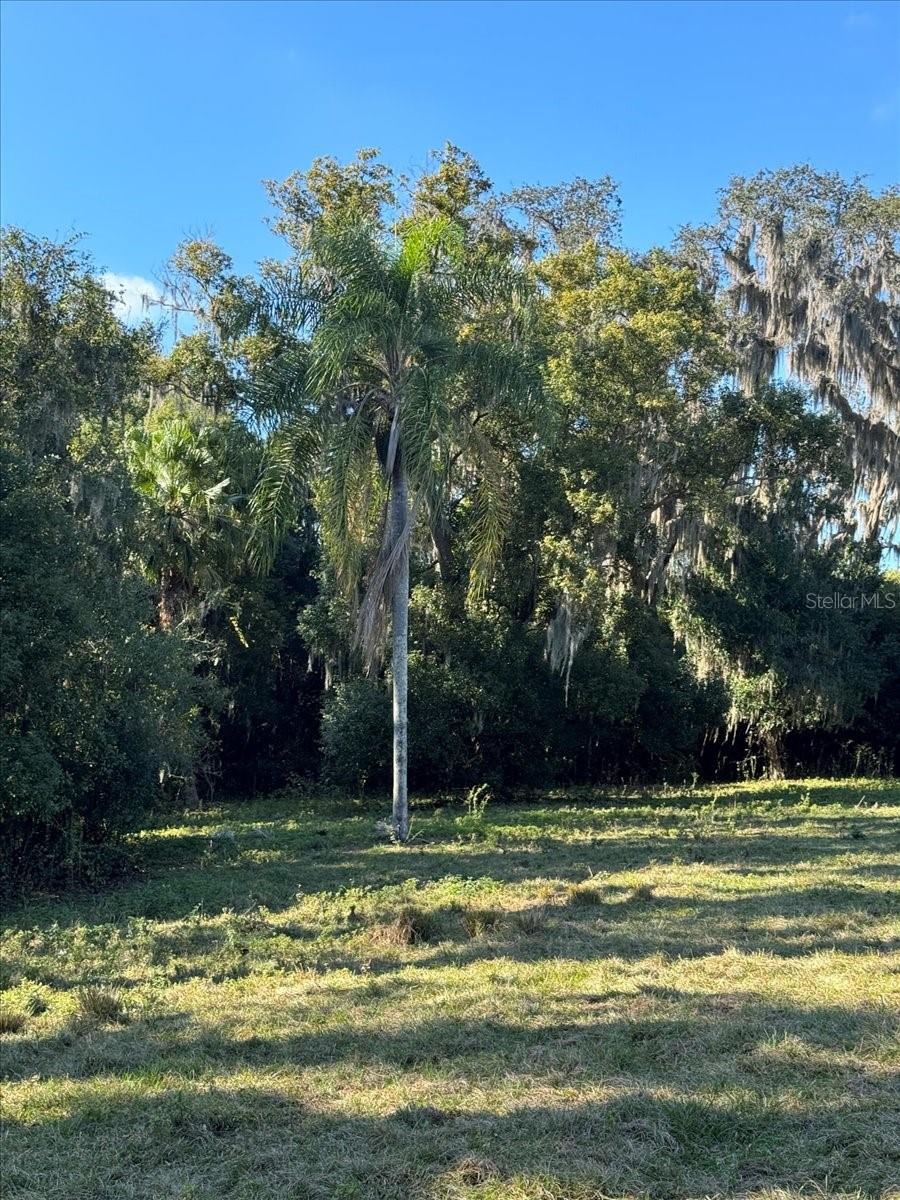 BOY SCOUT RD, ODESSA, FL — photo 7