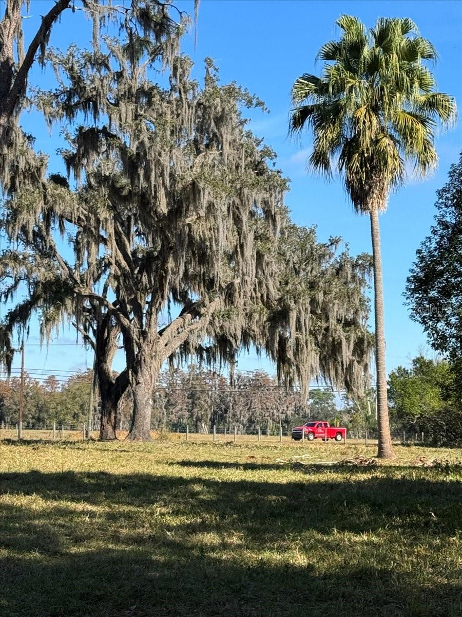 BOY SCOUT RD, ODESSA, FL — photo 8