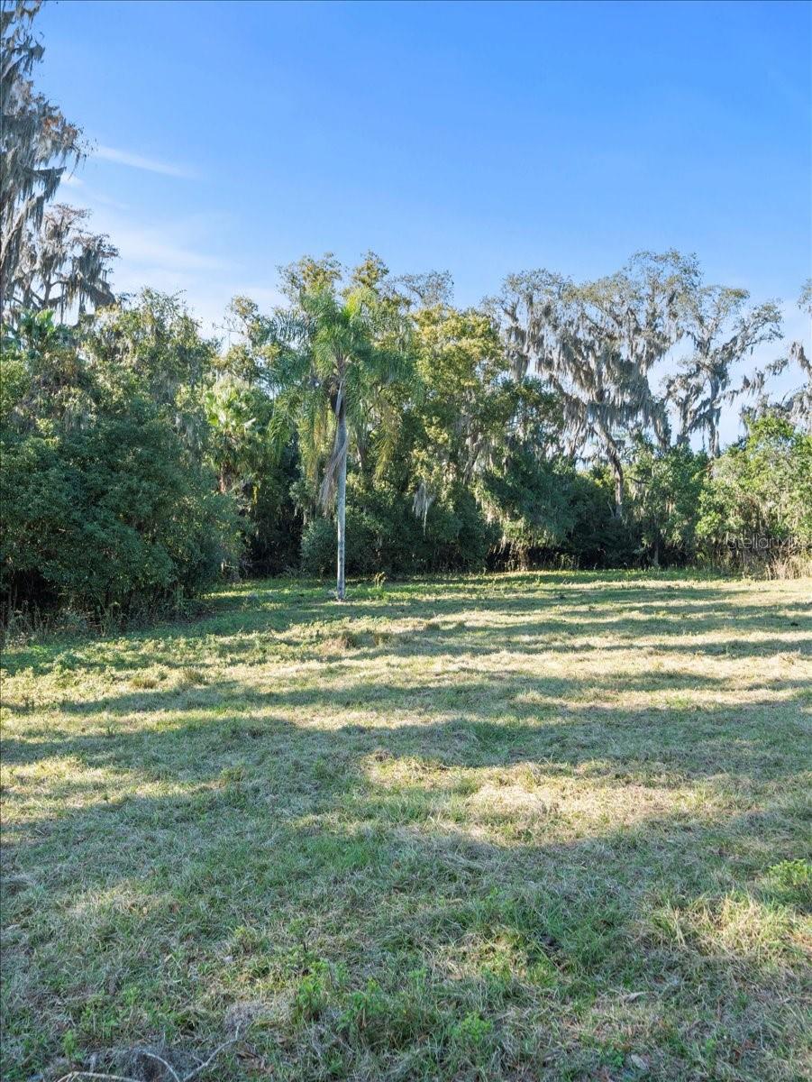 BOY SCOUT RD, ODESSA, FL — photo 9