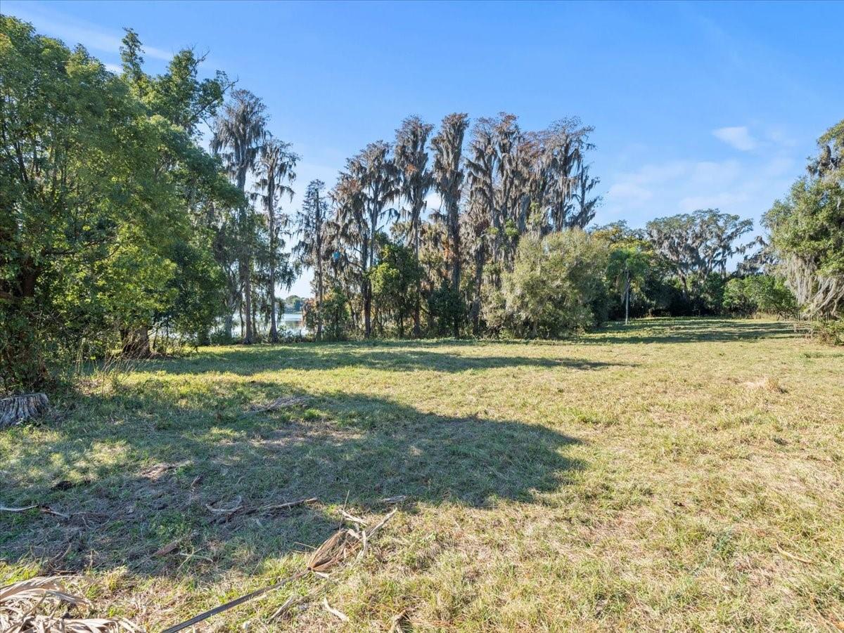 BOY SCOUT RD, ODESSA, FL — photo 10