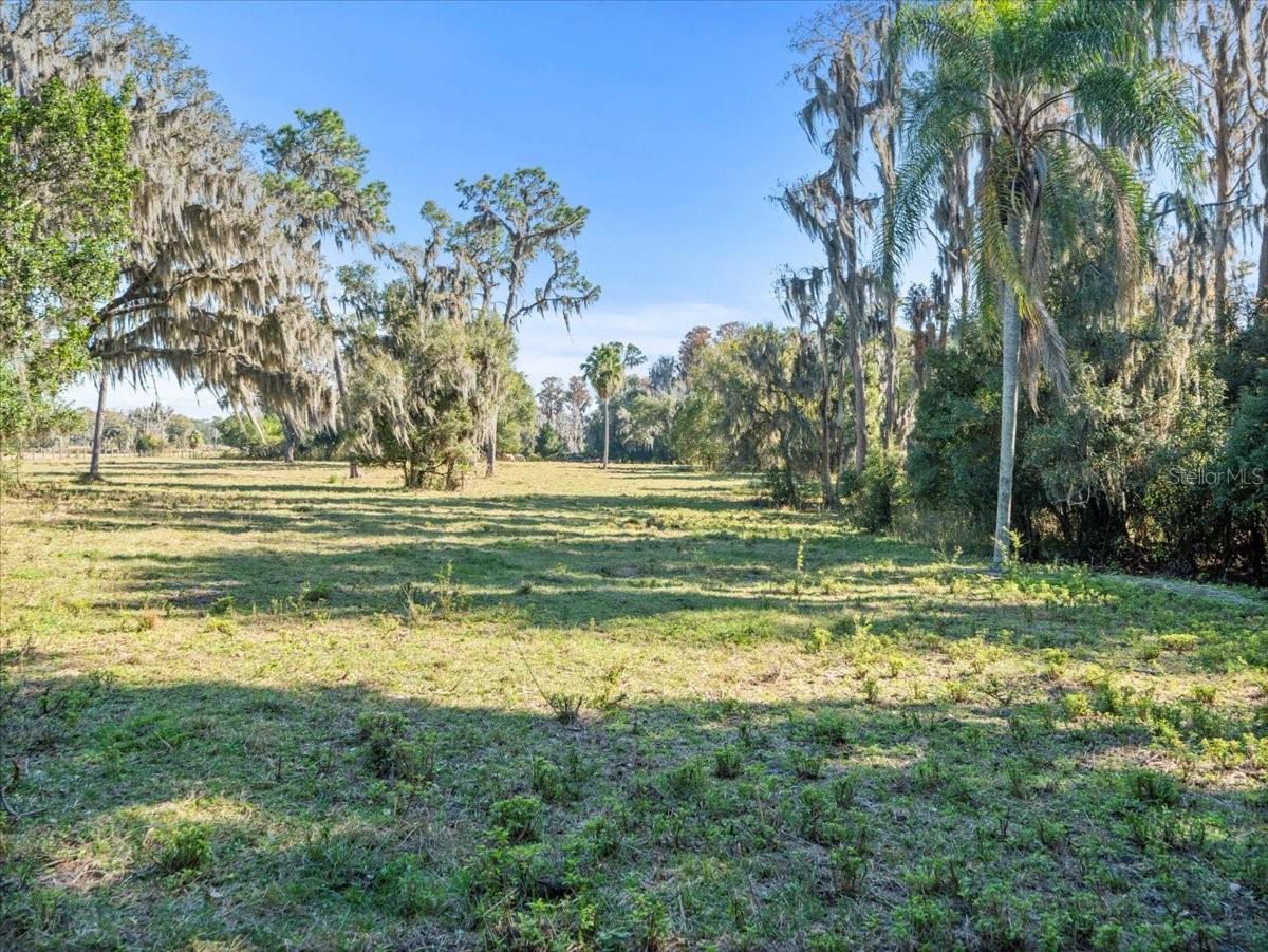 BOY SCOUT RD, ODESSA, FL — photo 11