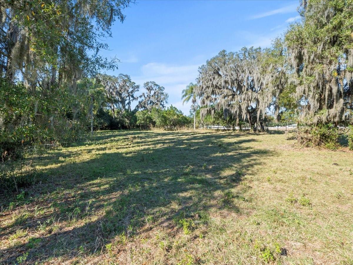 BOY SCOUT RD, ODESSA, FL — photo 12