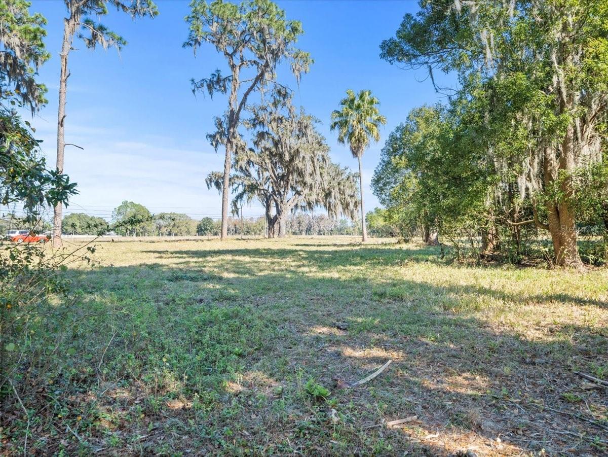 BOY SCOUT RD, ODESSA, FL — photo 13