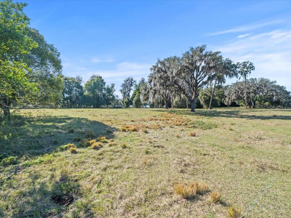 BOY SCOUT RD, ODESSA, FL — photo 14