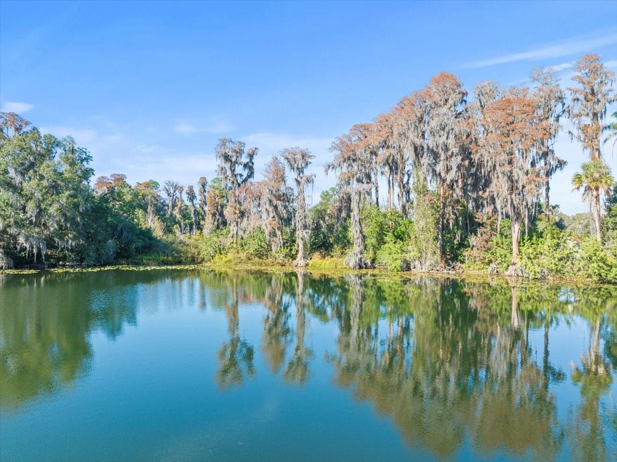 BOY SCOUT RD, ODESSA, FL — photo 17