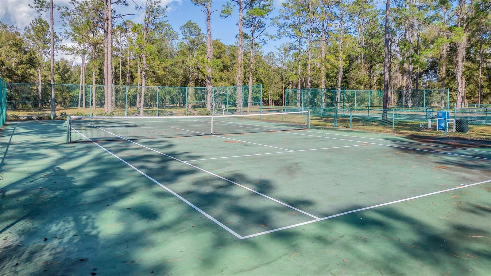 3106 BRIGHT LAKE CIR, GROVELAND, FL — photo 39