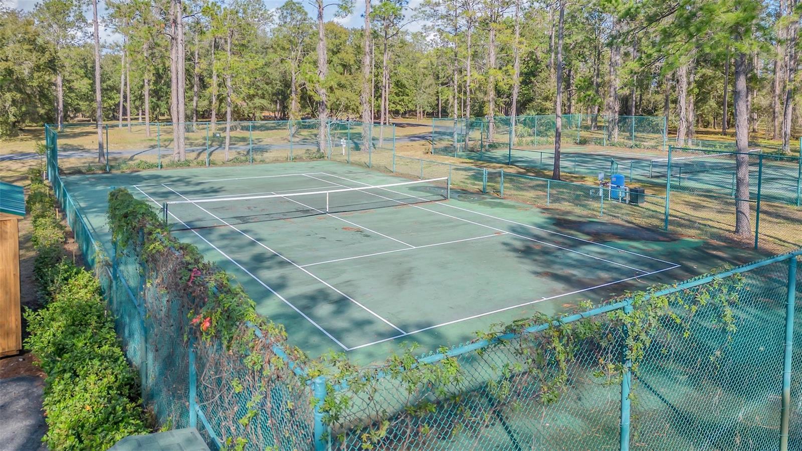 3106 BRIGHT LAKE CIR, GROVELAND, FL — photo 41