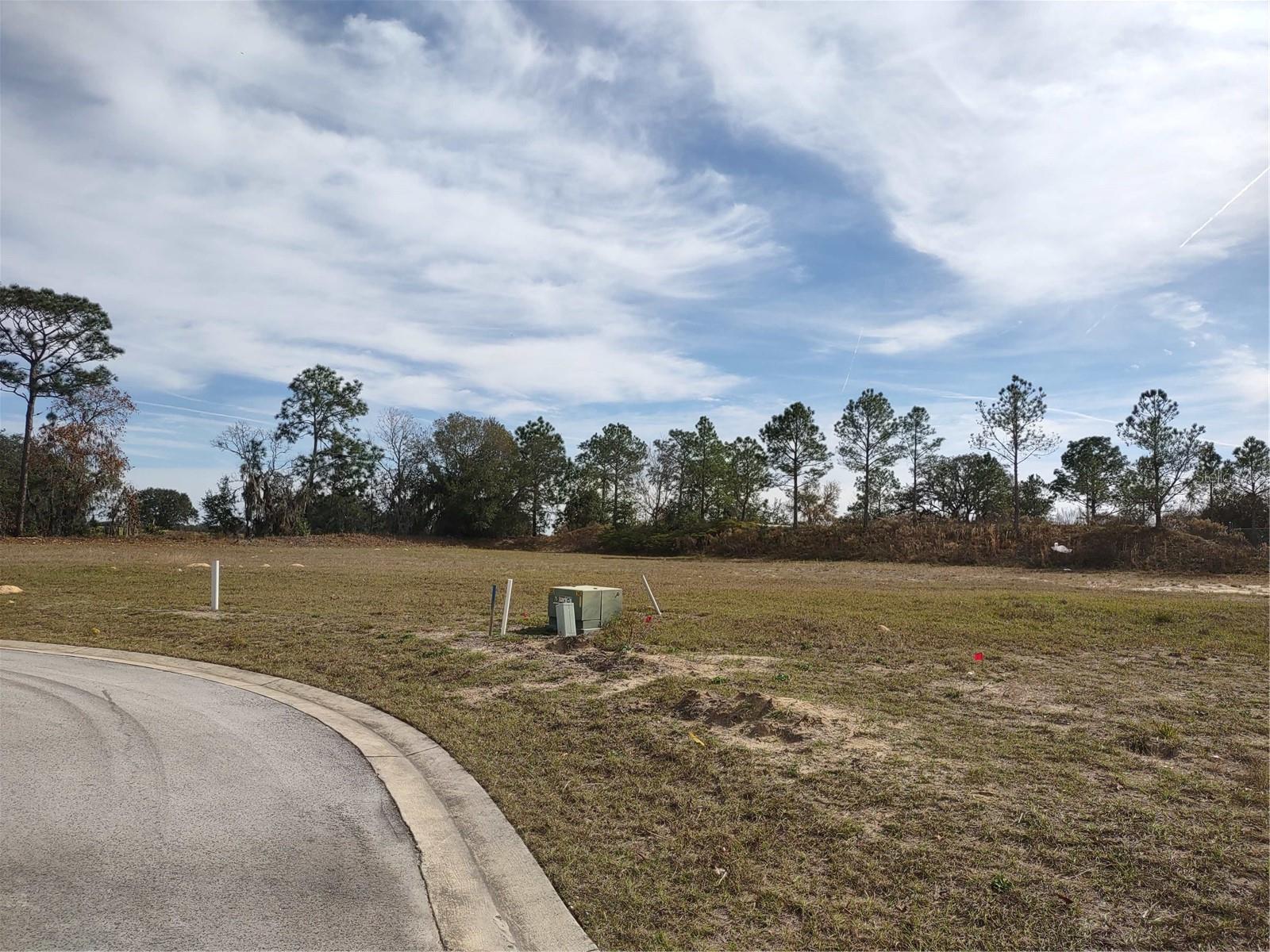 6400 SW 180 CIR #Lot 29, DUNNELLON, FL — photo 4