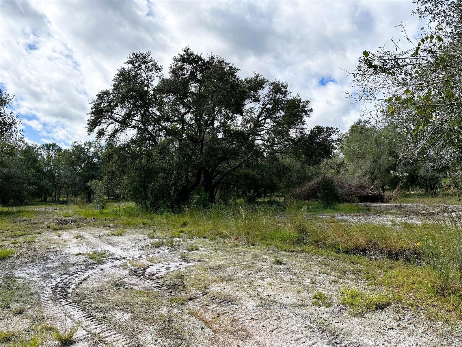 SE TOMLIN #2 DR, ARCADIA, FL — photo 2
