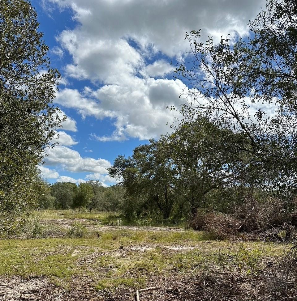 SE TOMLIN #2 DR, ARCADIA, FL — photo 3