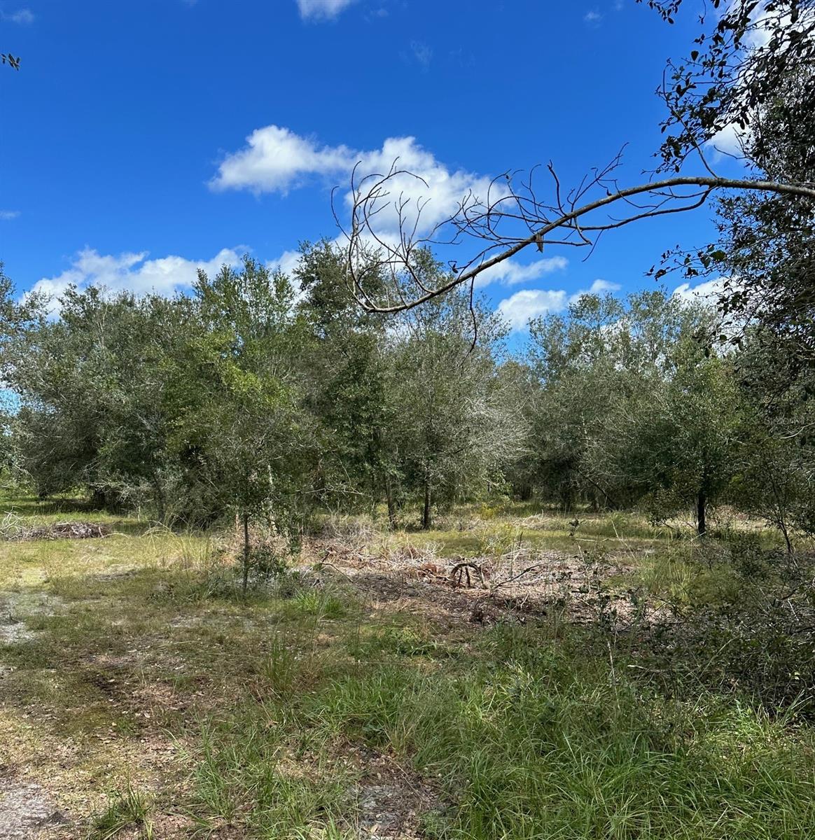 SE TOMLIN #2 DR, ARCADIA, FL — photo 4
