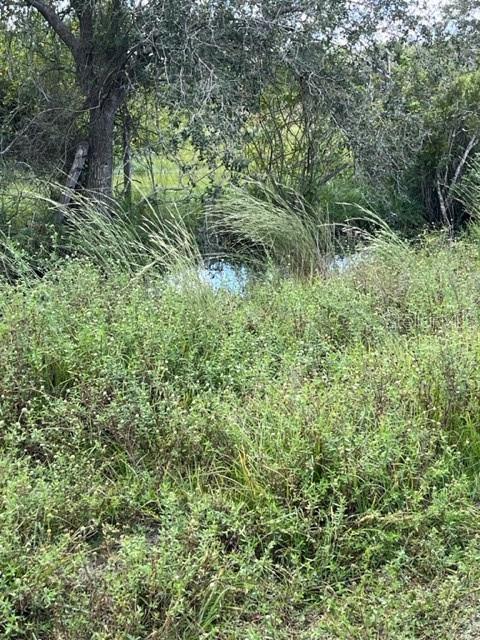 SE TOMLIN #3 DR, ARCADIA, FL — photo 3