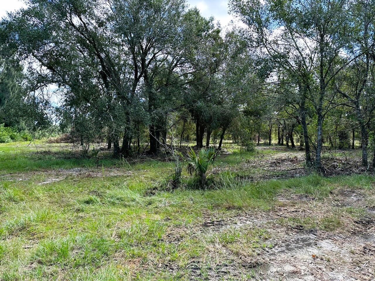 SE TOMLIN #3 DR, ARCADIA, FL — photo 4