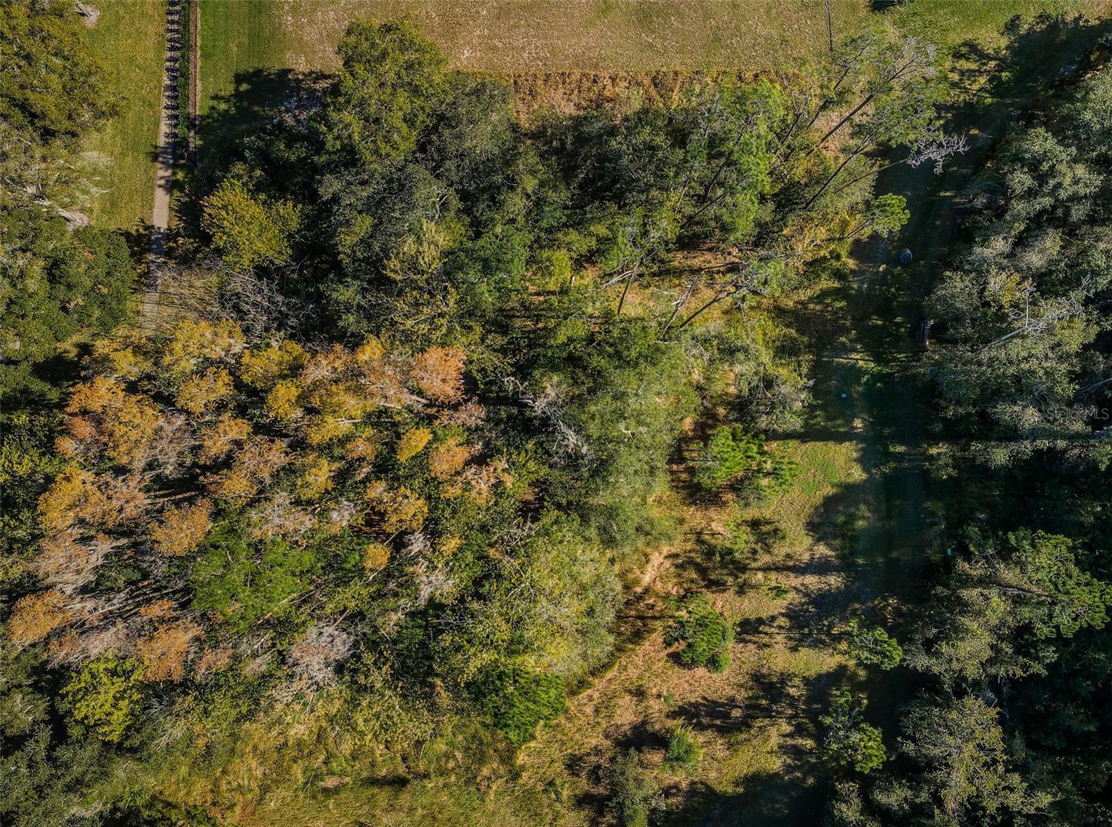4445 LANSBROOK PKWY, PALM HARBOR, FL — photo 2