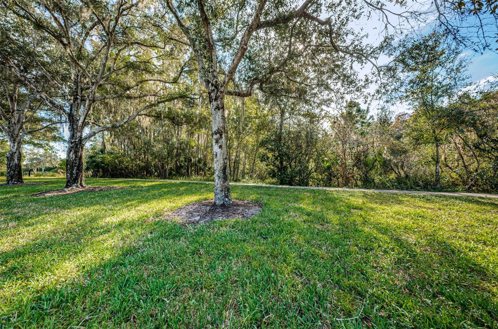 4445 LANSBROOK PKWY, PALM HARBOR, FL — photo 7