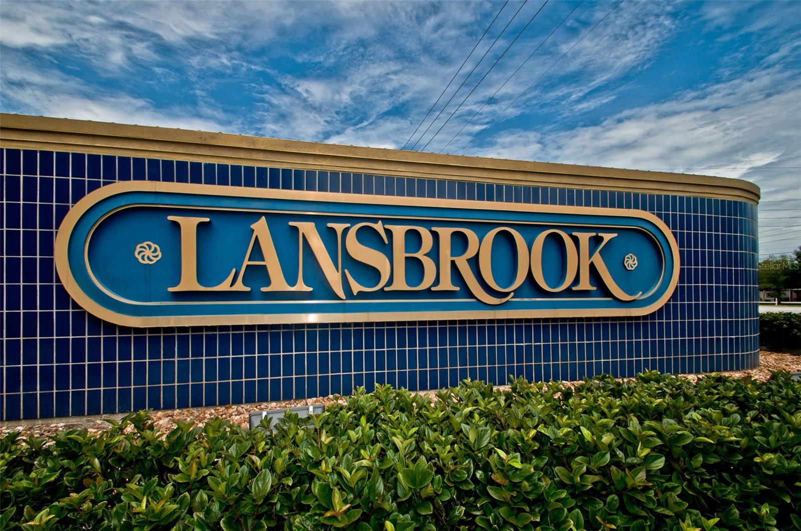 4445 LANSBROOK PKWY, PALM HARBOR, FL — photo 10