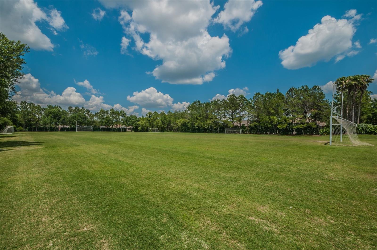 4445 LANSBROOK PKWY, PALM HARBOR, FL — photo 17