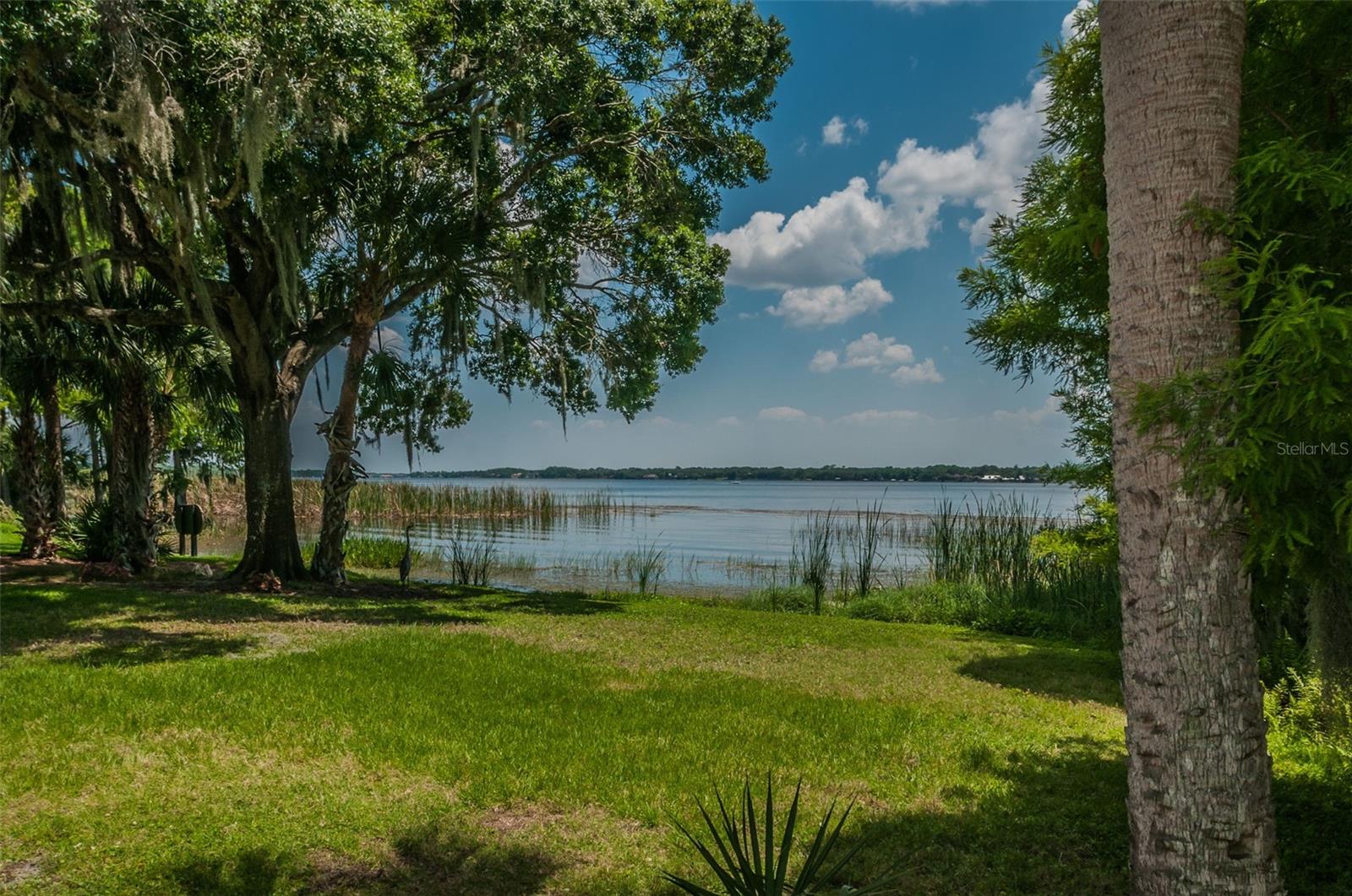 4445 LANSBROOK PKWY, PALM HARBOR, FL — photo 28