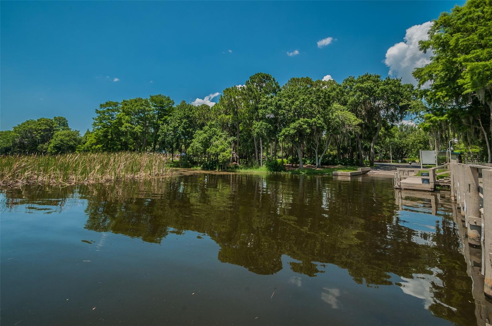 4445 LANSBROOK PKWY, PALM HARBOR, FL — photo 43