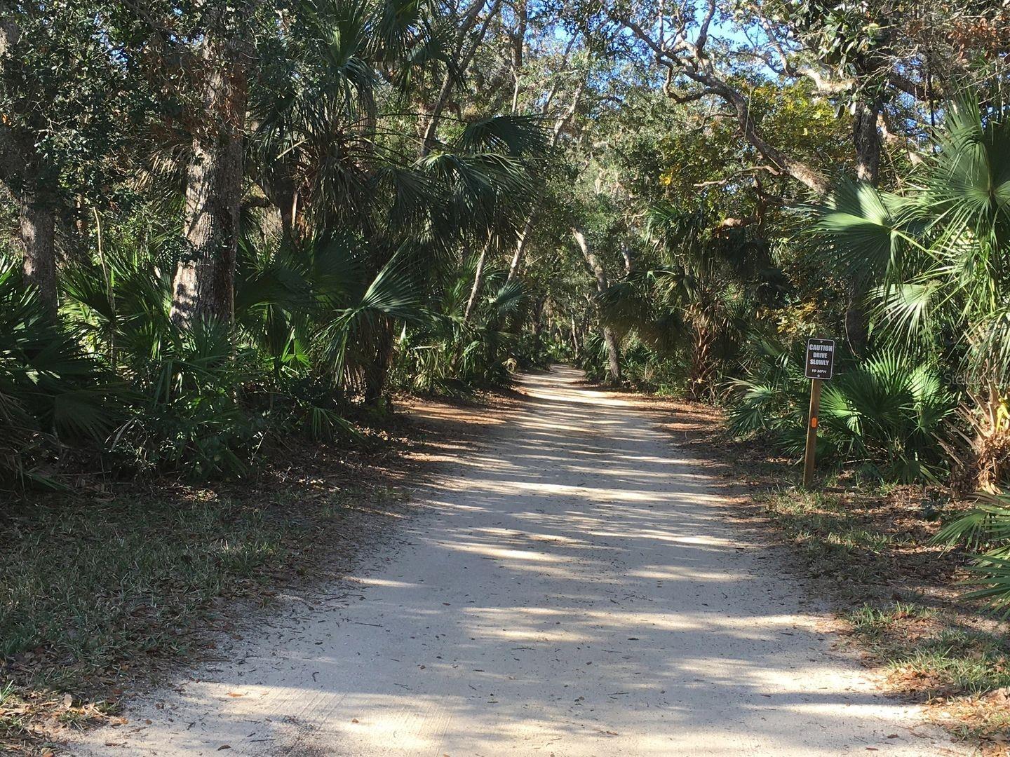 3 SAN LUIS LN, PALM COAST, FL — photo 5