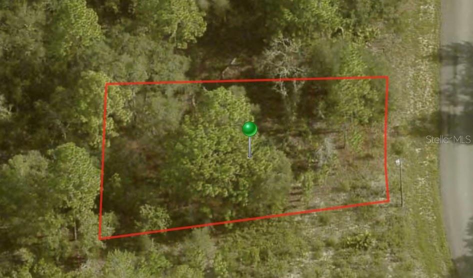 6692 N BUCKSKIN DR, CITRUS SPRINGS, FL