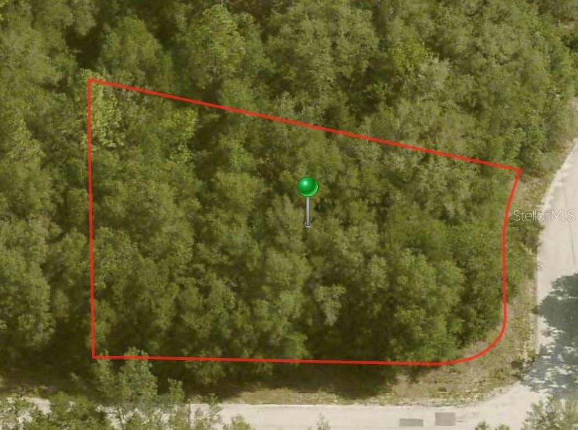 10098 N HALSEY WAY, CITRUS SPRINGS, FL