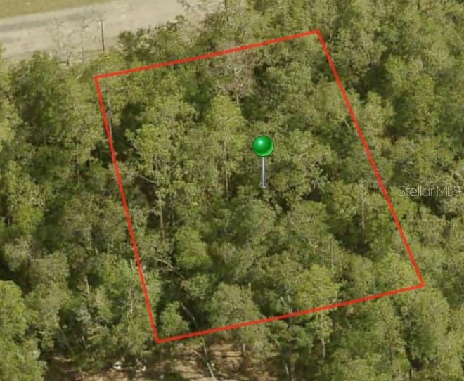 1396 W STARBRIGHT PL, CITRUS SPRINGS, FL