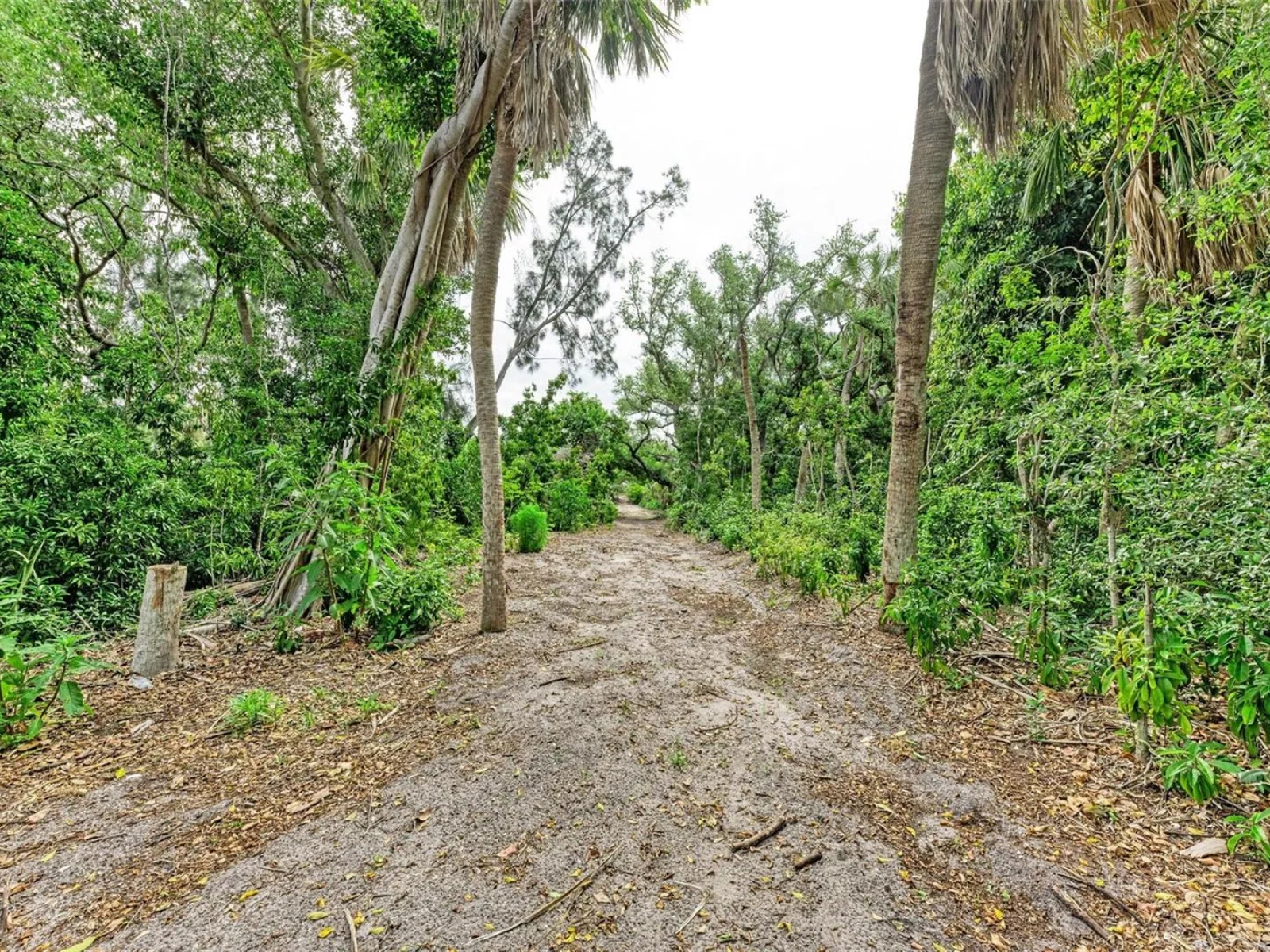 7520 MANASOTA KEY RD, ENGLEWOOD, FL — photo 21