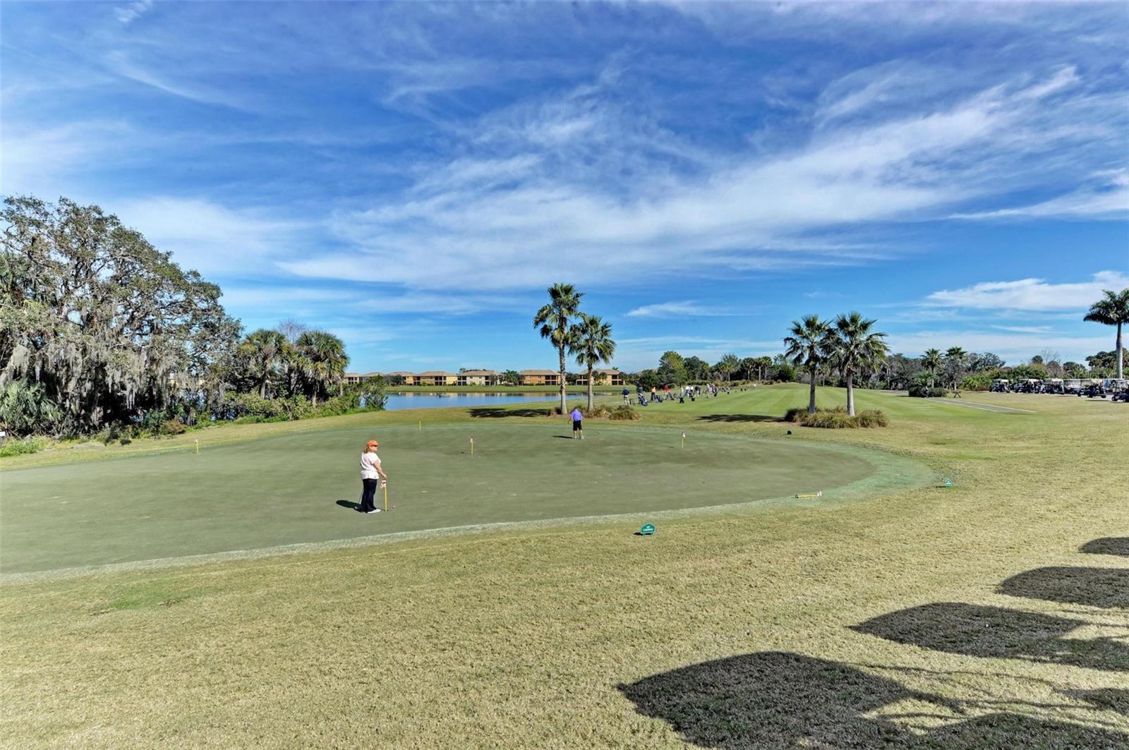 7225 RIVER HAMMOCK DR #202, BRADENTON, FL — photo 47