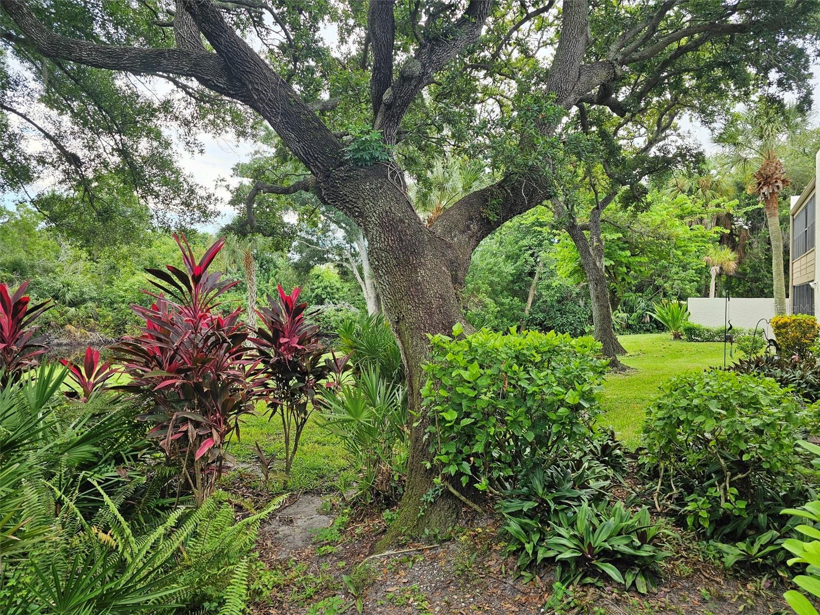 108 PINEHURST DR, BRADENTON, FL — photo 52