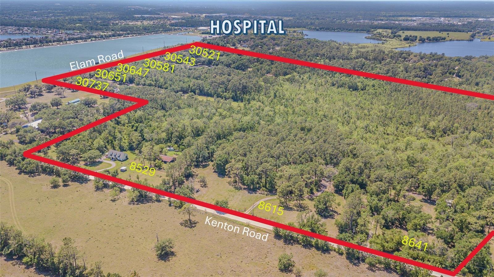8529 KENTON RD, WESLEY CHAPEL, FL — photo 4