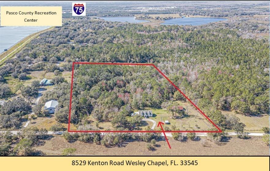 8529 KENTON RD, WESLEY CHAPEL, FL — photo 7