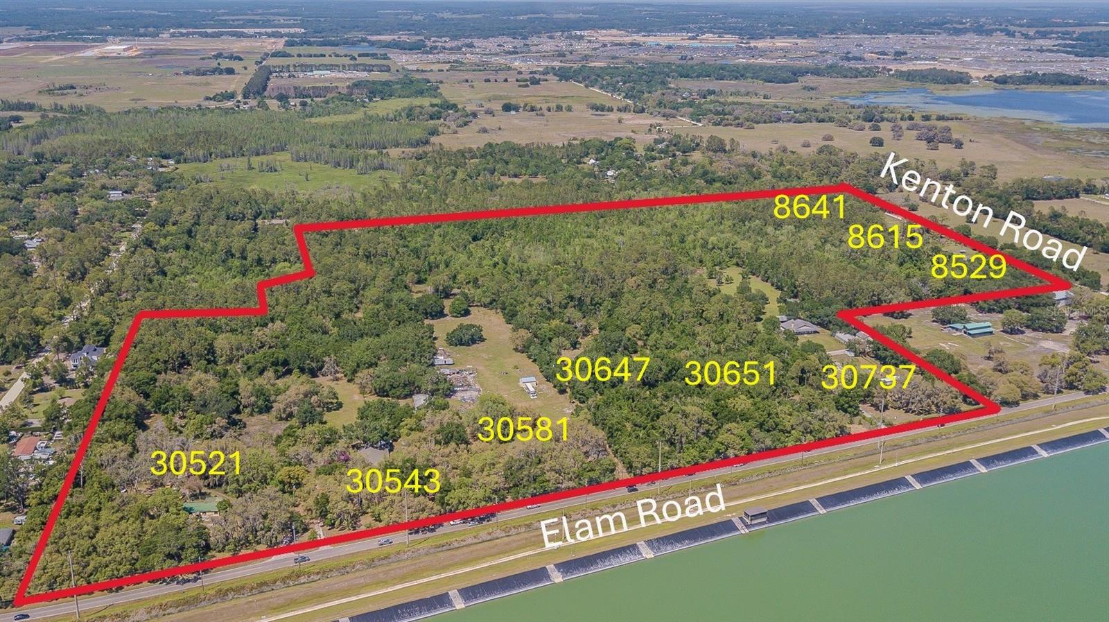 8529 KENTON RD, WESLEY CHAPEL, FL — photo 13