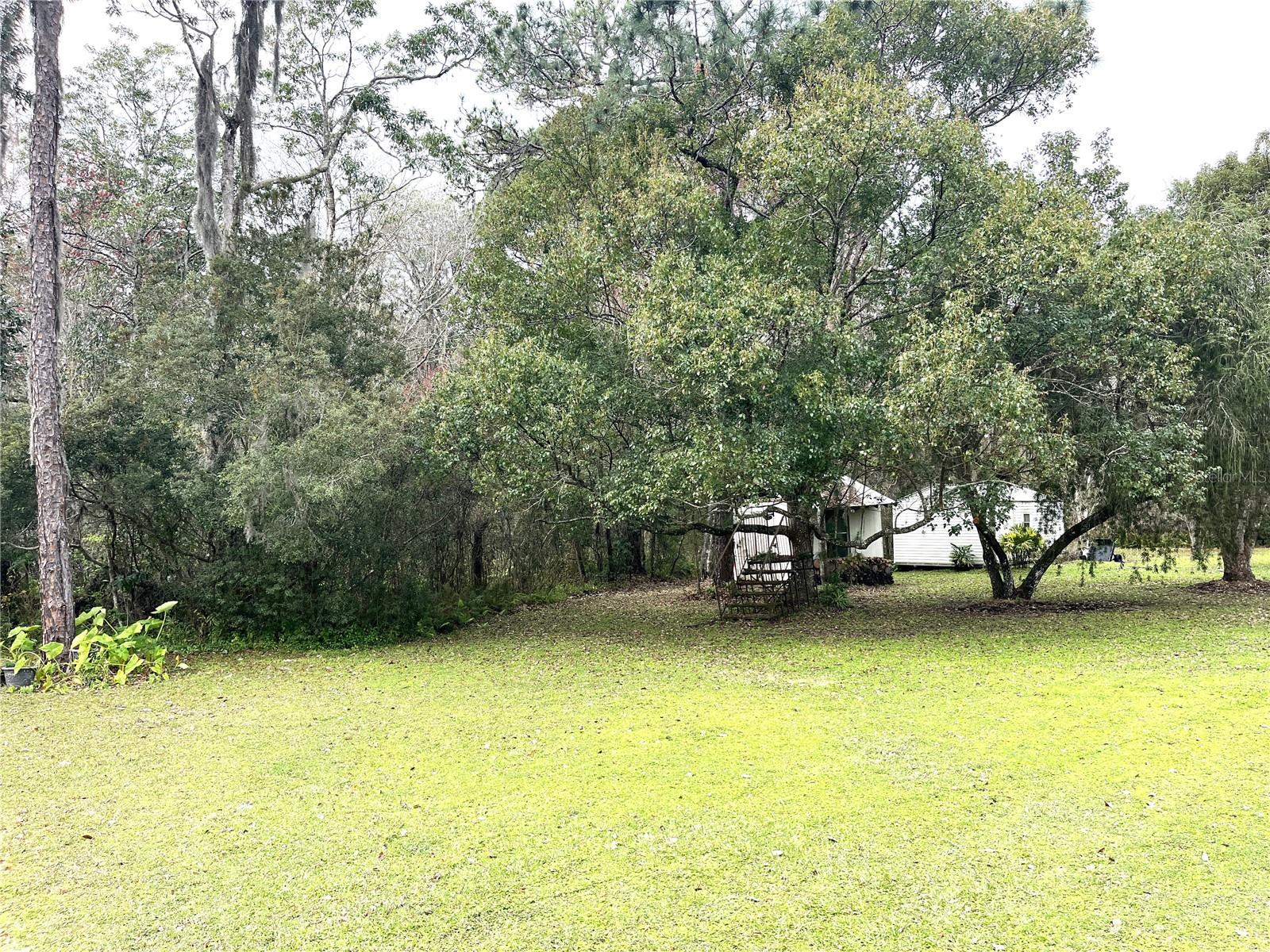 8529 KENTON RD, WESLEY CHAPEL, FL — photo 15