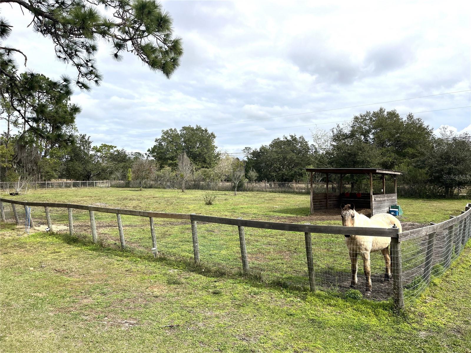 8529 KENTON RD, WESLEY CHAPEL, FL — photo 48