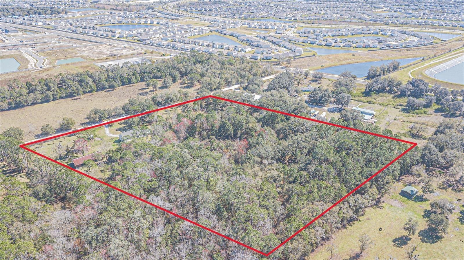 8529 KENTON RD, WESLEY CHAPEL, FL — photo 88