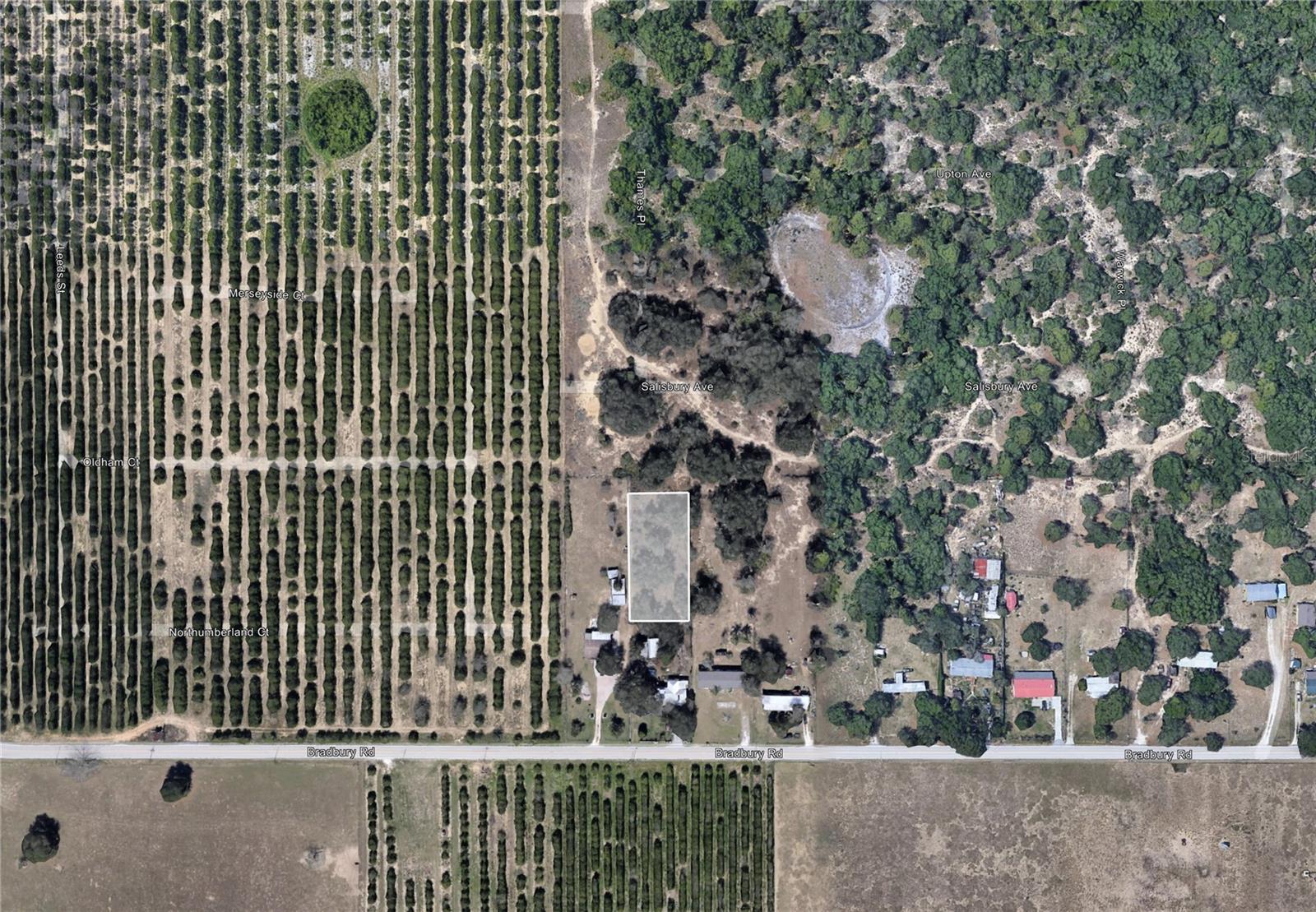 BRADBURY RD, HAINES CITY, FL — photo 2