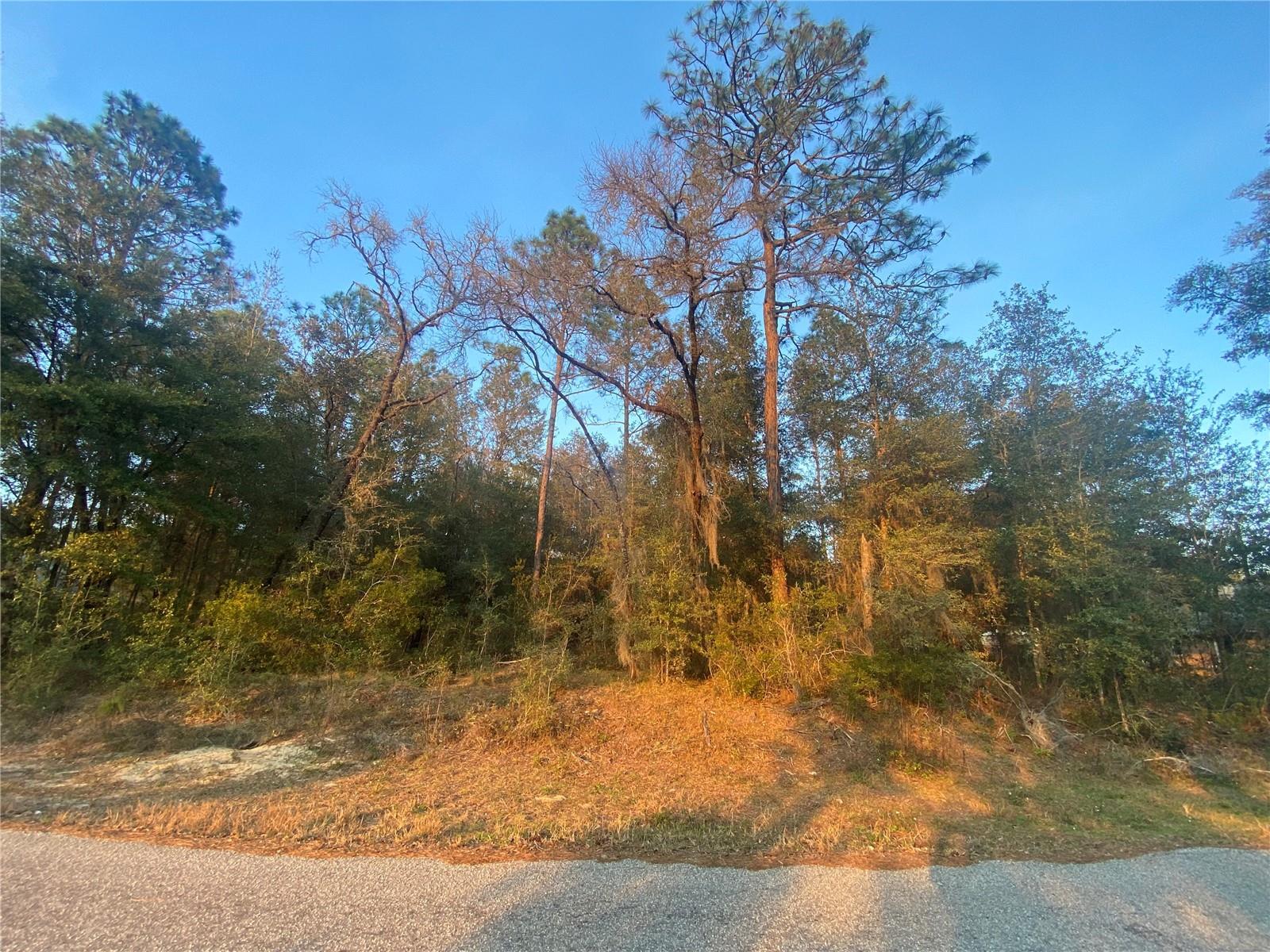 Lot 28 SW 206 CIR, DUNNELLON, FL