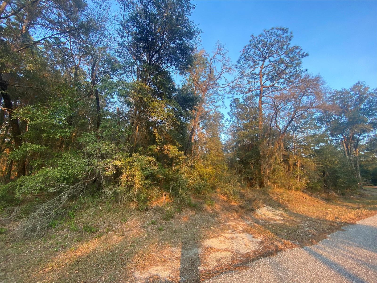 Lot 28 SW 206 CIR, DUNNELLON, FL — photo 2