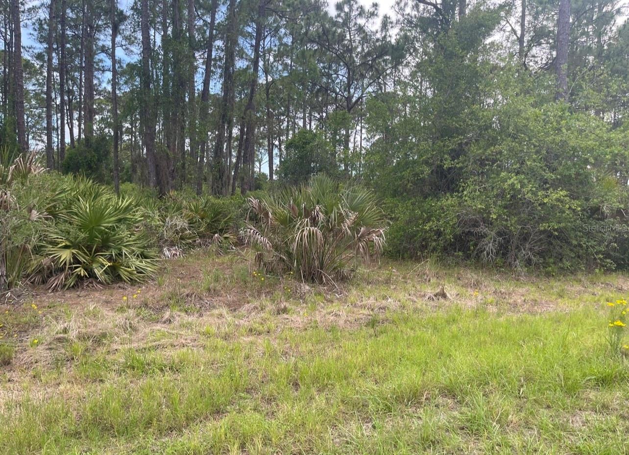 0954126609 AVERETTE AVE, NORTH PORT, FL