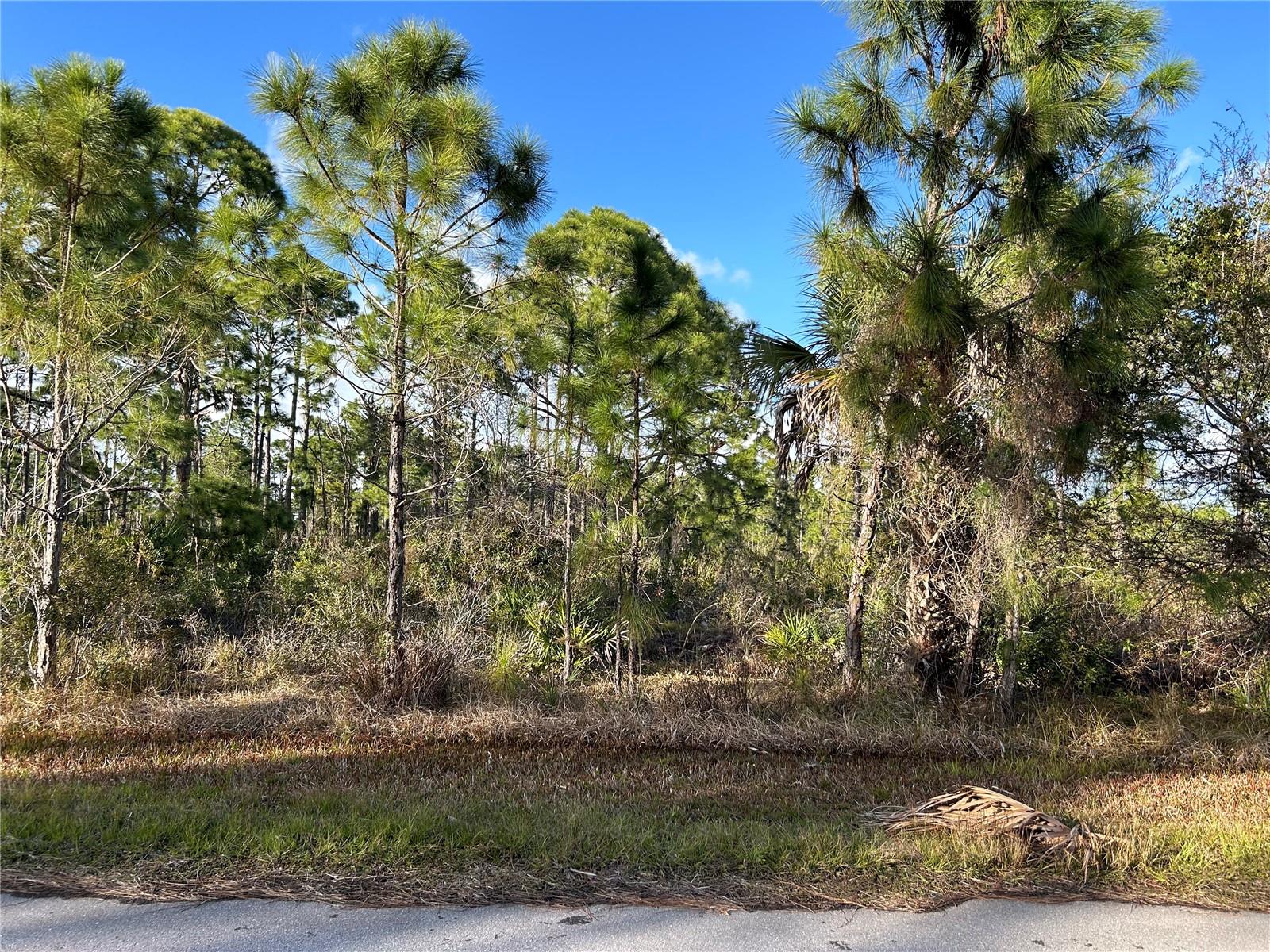 13494&13502 SURIBACHI AVE, PORT CHARLOTTE, FL — photo 3