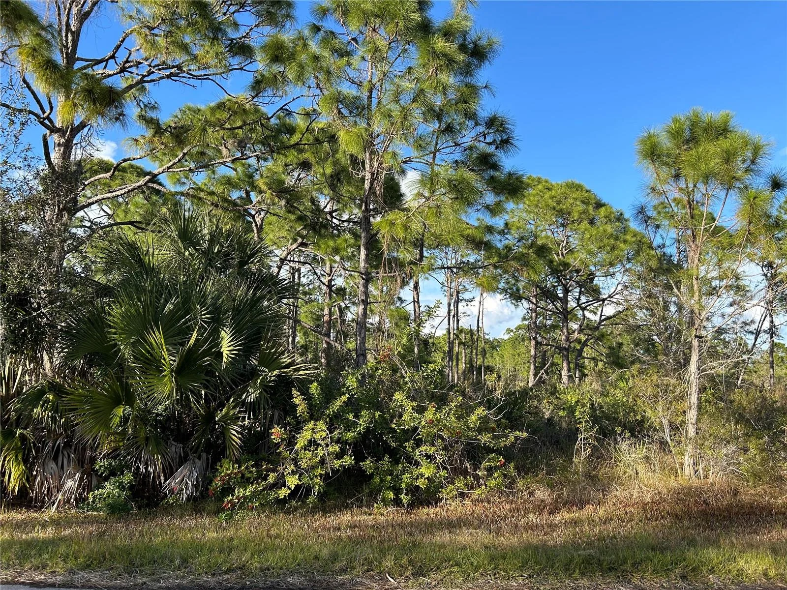 13494&13502 SURIBACHI AVE, PORT CHARLOTTE, FL — photo 11