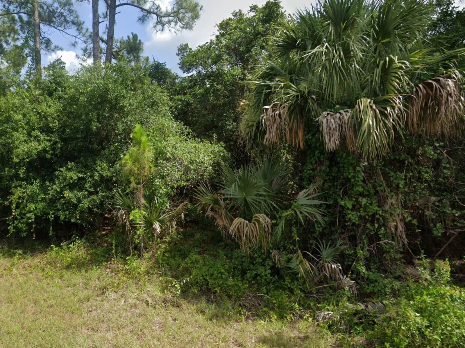 ANTIQUE CIR, NORTH PORT, FL — photo 3
