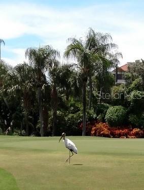 6322 PALMA DEL MAR BLVD S #305, ST PETERSBURG, FL — photo 4