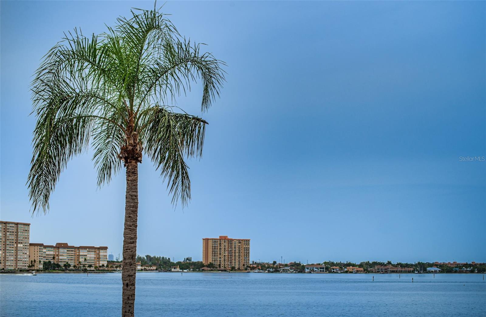 6322 PALMA DEL MAR BLVD S #305, ST PETERSBURG, FL — photo 45
